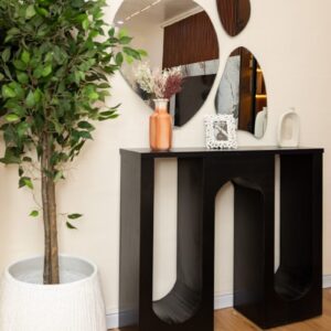 Black console table with decorative mirrors and a potted plant.
