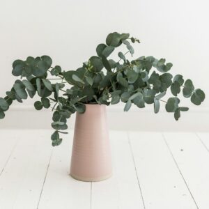 green plant in brown vsae