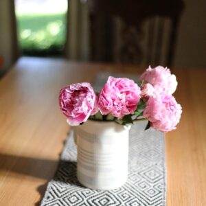 pink and white petaled flowers close-up photography