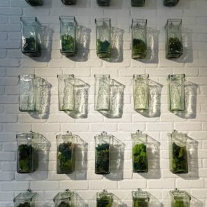 a white brick wall filled with glass jars filled with plants